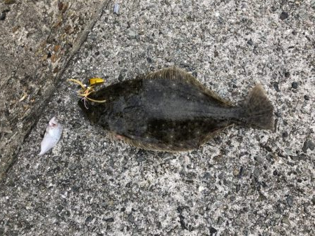 ショアタイラバ