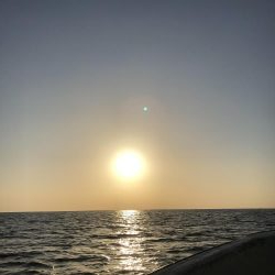 宇佐沖オフショア釣果