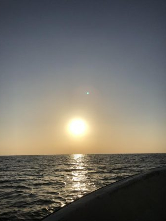 宇佐沖オフショア釣果