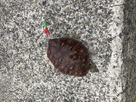 パラソル級のはずが…