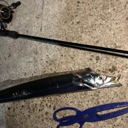 ライズの正体は…