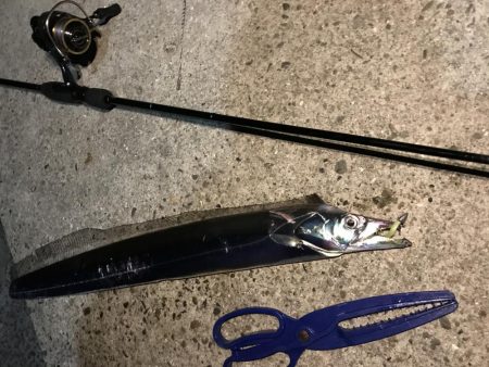 ライズの正体は…