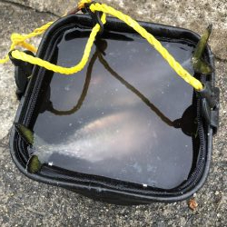 エビでサバを釣る@西宮ケーソン