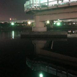 ばらしまっせ！素バリまっせ！