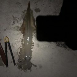 渋くなってきたかもしれません