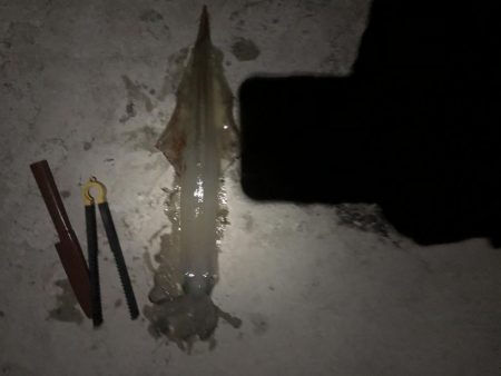 渋くなってきたかもしれません