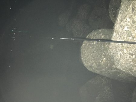 デカアジとブルーバックは何処に?