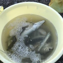 ヒーラーメアタック！！！！