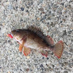 穴たと再会⁉︎