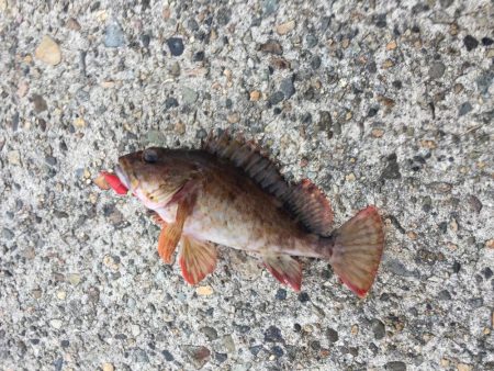 穴たと再会⁉︎