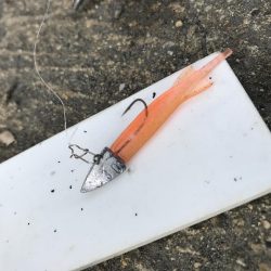 2月17日西宮〜尼崎ランガン強風やめて