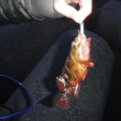 メバリング　渋かった