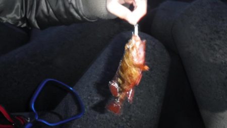 メバリング　渋かった