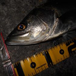 さむい…ちべた～い