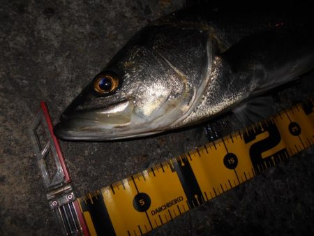 さむい…ちべた～い