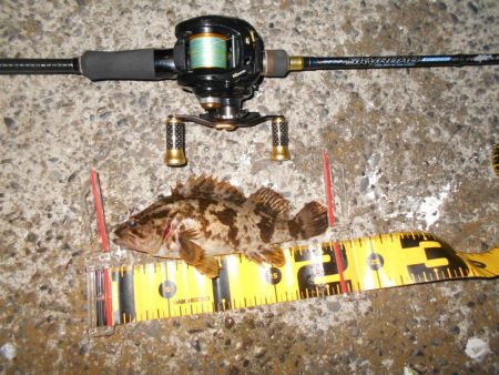 シーバス狙いだったが…