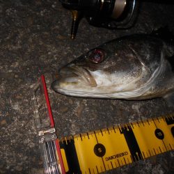 足元も忘れずに…