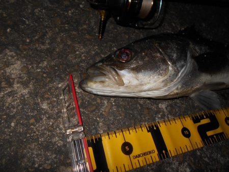 足元も忘れずに…