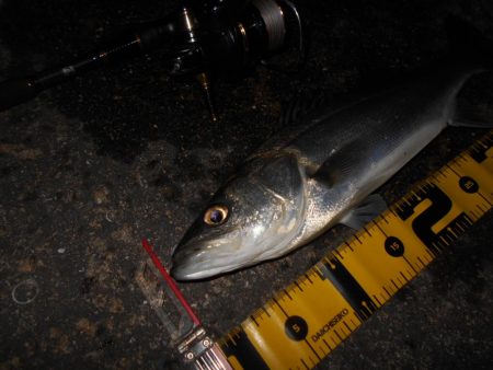 手こずらせやがって～！！