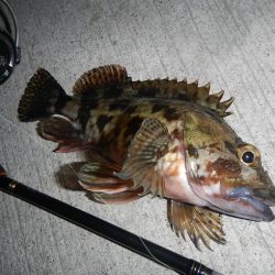 今夜も荒れてます