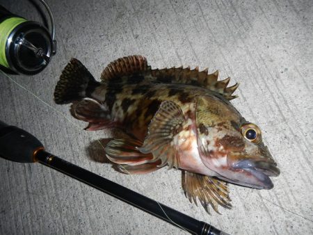 今夜も荒れてます