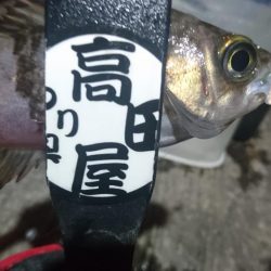 ボトム攻め！！