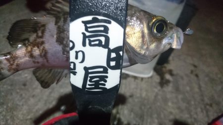 ボトム攻め！！