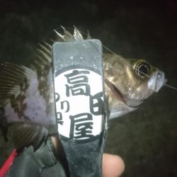 姫路でメバリング！！