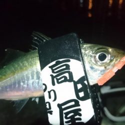 バレンタインアジ