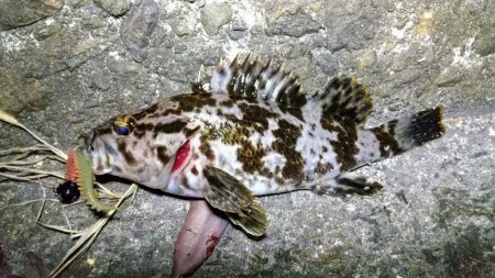 タケノコゲーム