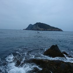 御五神でグレ釣り