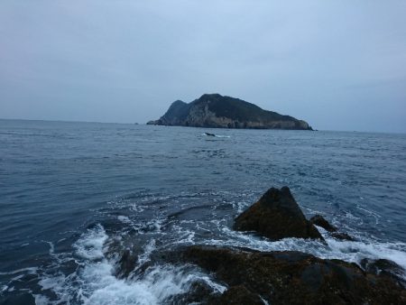 御五神でグレ釣り