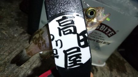 今夜もボトム！！