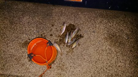 型が出ませんでした