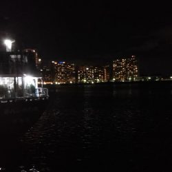 ぶらシーバス！！