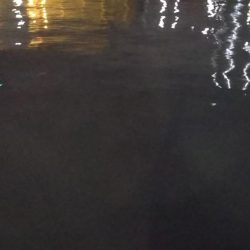 ぶらシーバス!!