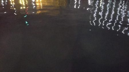 ぶらシーバス!!