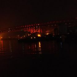 ぶらシーバス！！