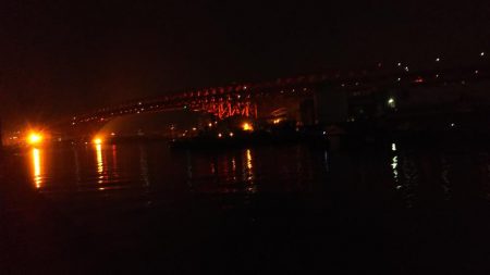 ぶらシーバス！！