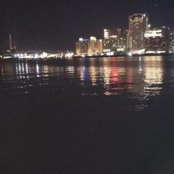 ぶらワーミング！！