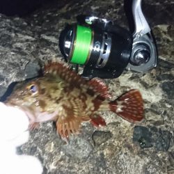 場所を変えてみた