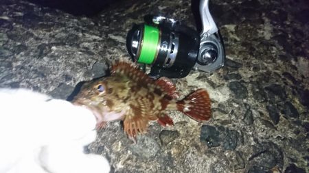 場所を変えてみた