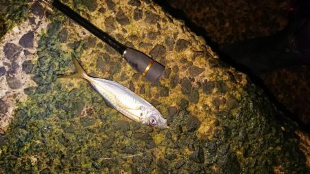 激シブの中、４目