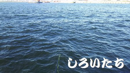 あきらめかけた時にドラマがありました。