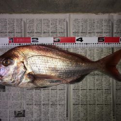 激渋釣行の中で…