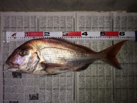 激渋釣行の中で…