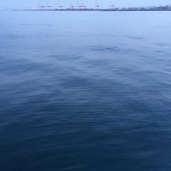 今シーズン1番の寒さ