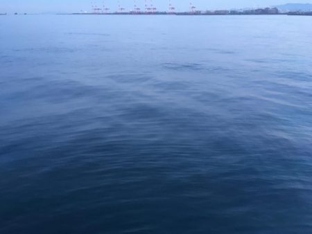 今シーズン1番の寒さ