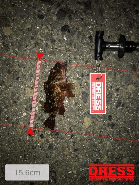 神戸ランガンライトゲーム2月3日リールもまく