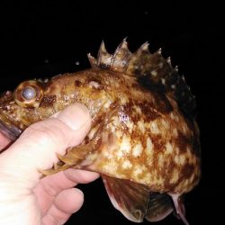 風が止んだら海洋調査